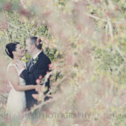 Sunshine, Love & Laughter for Lindel & Tom’s Quamby Estate Wedding _ BPhotography