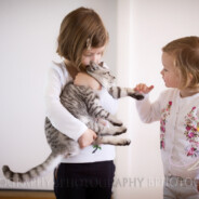 Two Little Girls and Their Kitten _ Family Portraiture Fun _ BPhotography